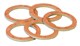 587552-moulan-joi-fibre.jpg