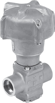 817-e298.jpg