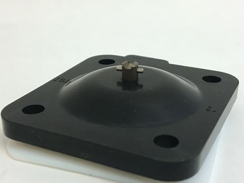 423256-burkert-677676.jpg